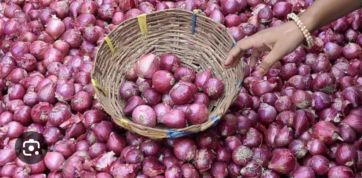 इलाममा फस्टाउँदै प्याजखेती ❗️