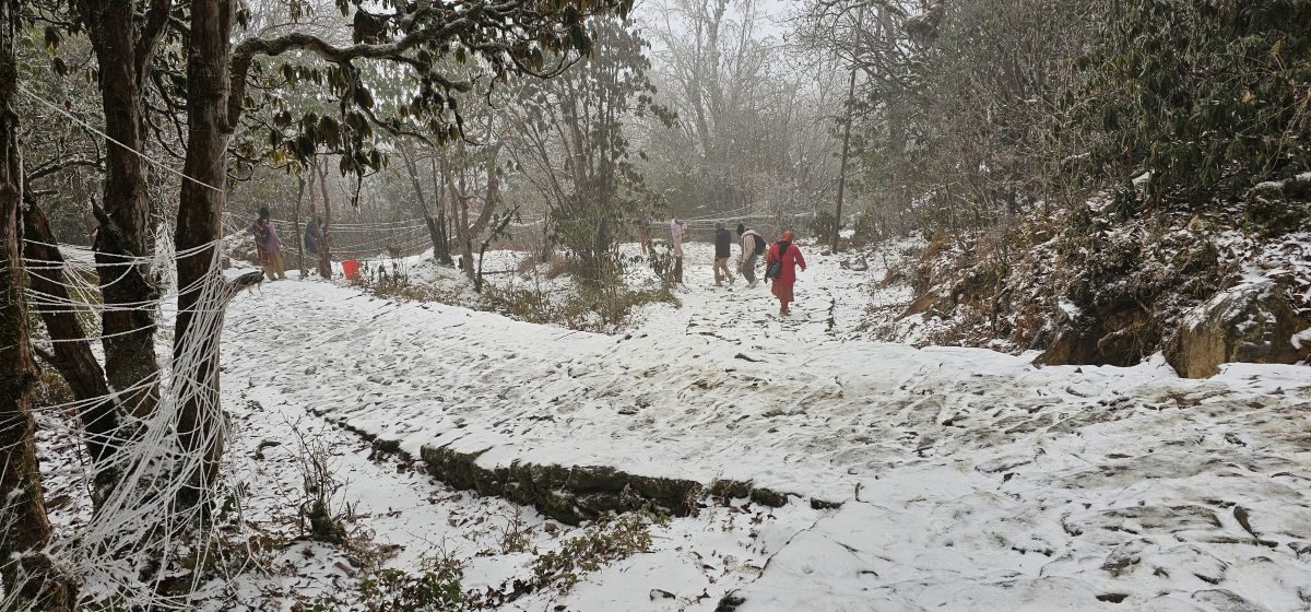 ताप्लेजुङकाे पाथीभरा क्षेत्रमा हिमपात