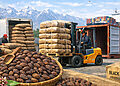 Men loading and unloading sacks of black cardamom at a port with snow-capped mountains in the background. A forklift operator moves stacks of sacks. A basket and sacks labeled 'BLACK CARDAMOM PRODUCT OF NEPAL' are in the foreground.