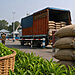 A truck loaded with tea bags passes through a border crossing between Nepal and India. The truck is stopped at a border checkpoint where a security personnel is inspecting the cargo. In the foreground, a basket filled with freshly harvested green tea leaves sits next to stacks of burlap sacks filled with processed tea leaves. The Nepali flag and Indian flag fly on either side of the border. The scene captures the bustling trade of tea products across the international border.
