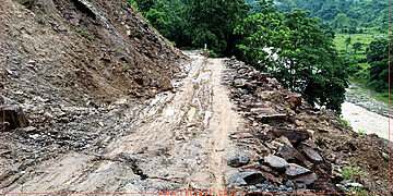दुःख दिइरहेको राजदुवाली, विकल्प अझै बनेन